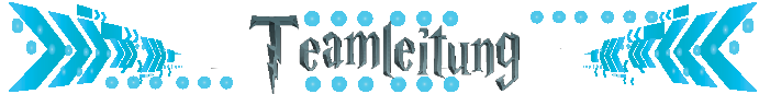 Teamleitung